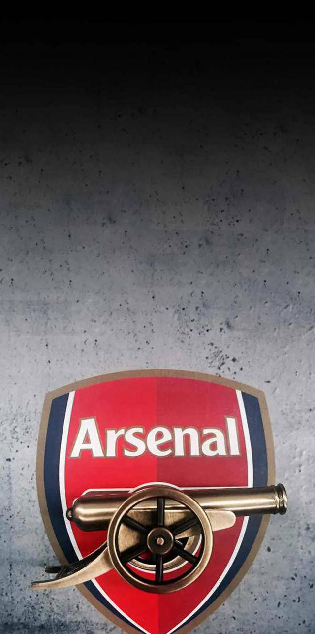 阿森纳转会期回应争议，志在意大利杯名次提升，话题不断，医务组通报恢复的简单介绍